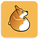 corgi